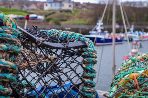 Fishing fleets need safeguarding, says new survey