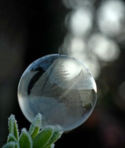 Photographer Caroline’s close-up of nature in Kilmartin Glen