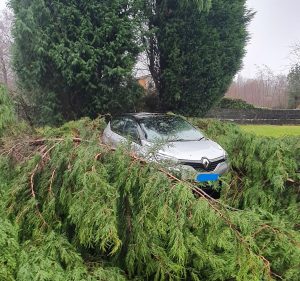 Fallen trees close A82 and rail services cancelled