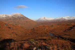 Remote woodland – home to Scotland’s oldest wild pine – saved